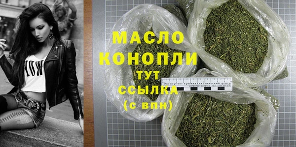 mdpv Инсар