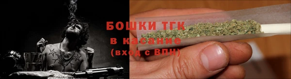mdpv Инсар
