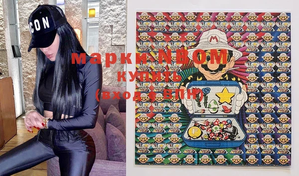 mdpv Инсар