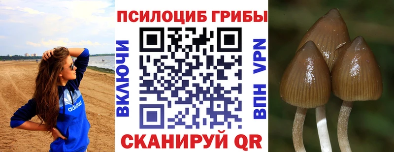 Купить где  Заринск  Галлюциногенные грибы прущие грибы 